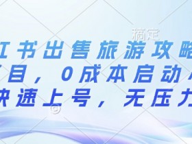 如何用小红书图文矩阵赚钱，批量发布引流日增流量300+