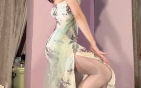 立盐盐(B站UP主)提督图包合集,全新资源解析