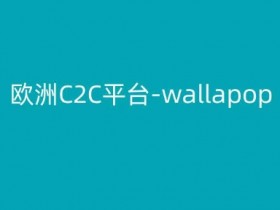 迪拜跨境电商发展哪些领域最具潜力，2025年迪拜电商最具潜力的领域