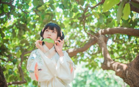 澪mio兔兔纸《橘子》 – YiTuYu艺图语