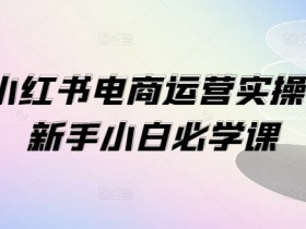 小红书掘金虚拟项目怎么玩，低成本操作的新手入门教程
