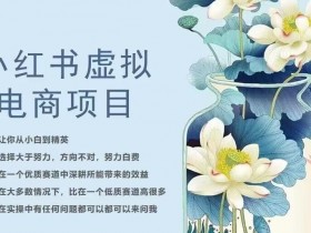 小红书虚拟资料项目好赚钱吗，收益与成本分析