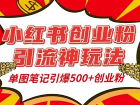 如何用小红书图文矩阵赚钱，批量发布引流日增流量300+