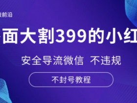 如何高效推广短剧，小红书蓝海赛道的操作秘诀揭秘