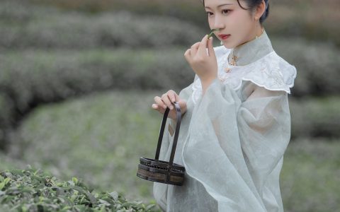 沉诗思《茶记》 – YiTuYu艺图语