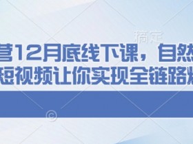 最佳二手车短视频发布时机，了解不同时间段的观众活跃情况